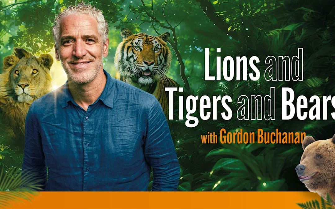Lions and Tigers and Bears with Gordon Buchanan